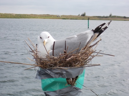 das umgesiegelte Nest ist ok.